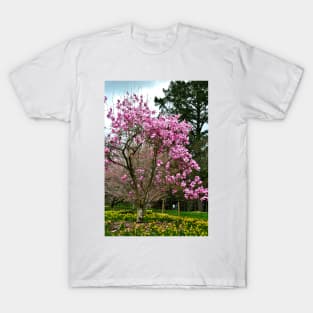 Magnolia Tree Batsford Arboretum Cotswolds UK T-Shirt